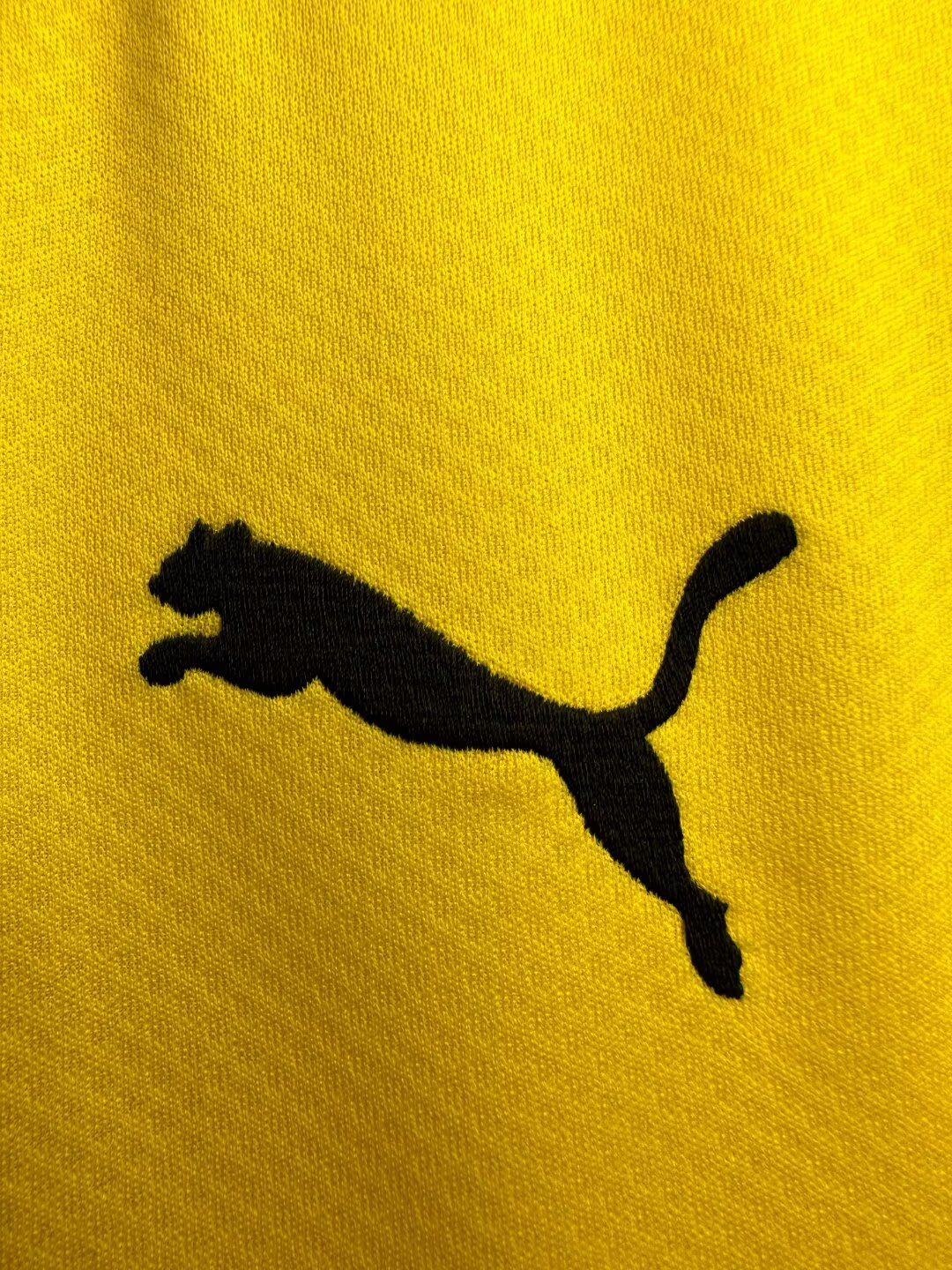 Dortmund Special Edition 2019-20