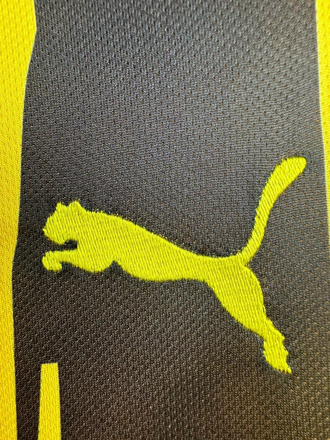 Dortmund Special Edition 2012-13